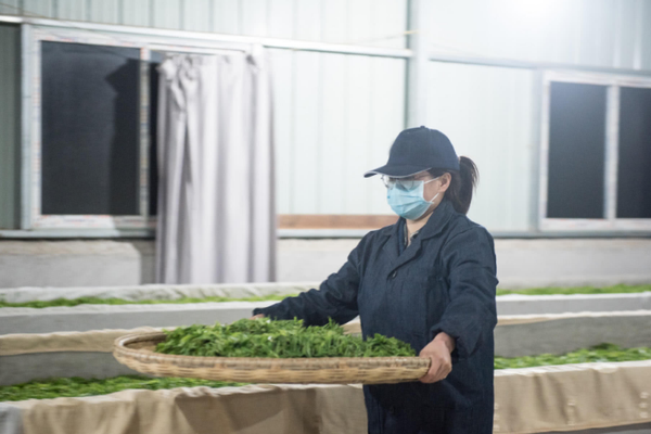 苏、粤,领跑！数字人民币试点迈入新阶段