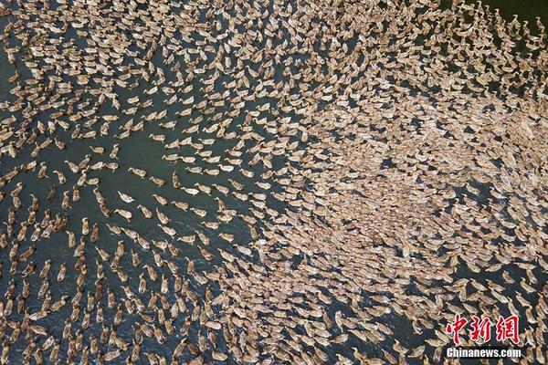油价;下.调！92汽油重回6元时代
