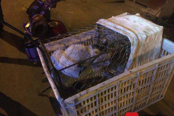 突发！!小<马>智行遭百度、文远知行联合“打假”？！一份港股路演书惹众怒