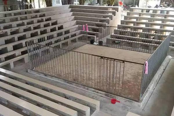 央企资产总额超90万亿元, 现代新国企加速成,长