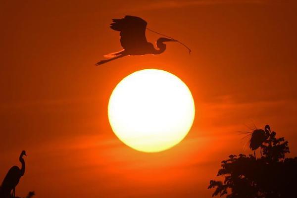 原创; 工行带头“反内卷”，银行股重拾涨势