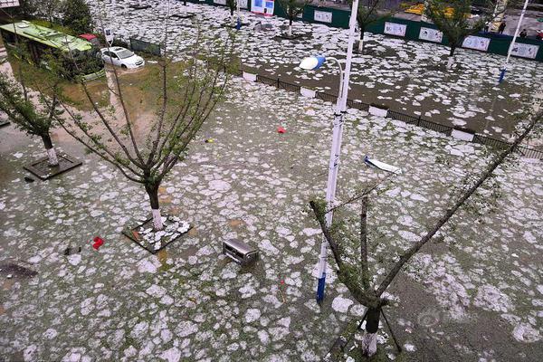 保利置业集团(00119.HK)：确认并没有知悉导致价格及成交量波动的任何原因