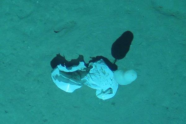 25.6—0;亿元主力资金今日抢筹汽车板块