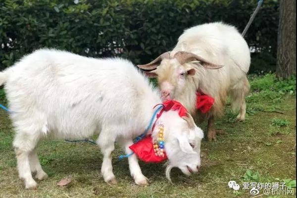 A‘股’停牌:提示：23股今日停牌