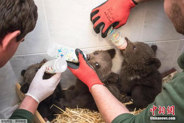 新—朋股:份：前三季度实现营收30.94亿元 净利润稳中有韧性