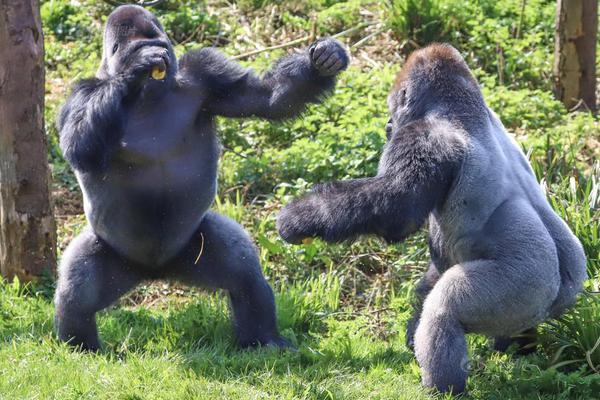 对!美出口暴跌10.1%！日本七月出口创四年最大降幅