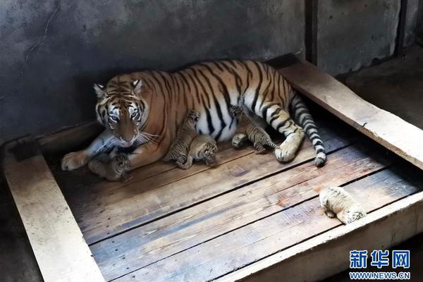 应流股份股价创新高.,