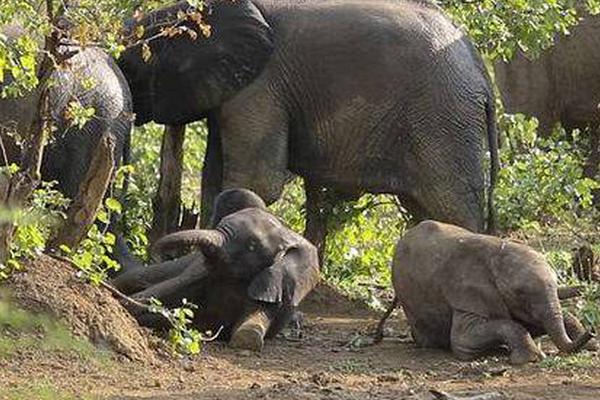 存储:缺货涨价潮再扩散：多家模组厂暂停报价 美光DDR5暴涨近三成