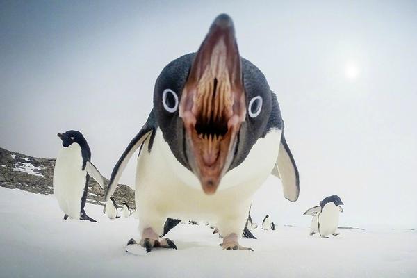 盘前：,纳指:期货涨0.62% 债市抛售有所减弱