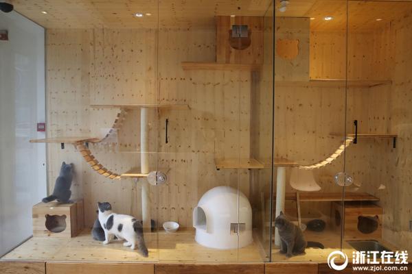 利通.电子：海外算力业务情况见公司半年报披露，目前没有变化