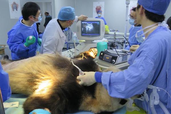 【银河公用陶贻:功】,公司点评丨中国核电 ：核电盈利稳健增长，新能源持续承压