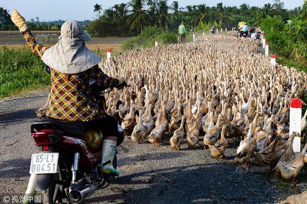 蚂蚁集团发布万亿参数旗舰模型 Ling-1T 并开源，多项指标位居开源模型榜首