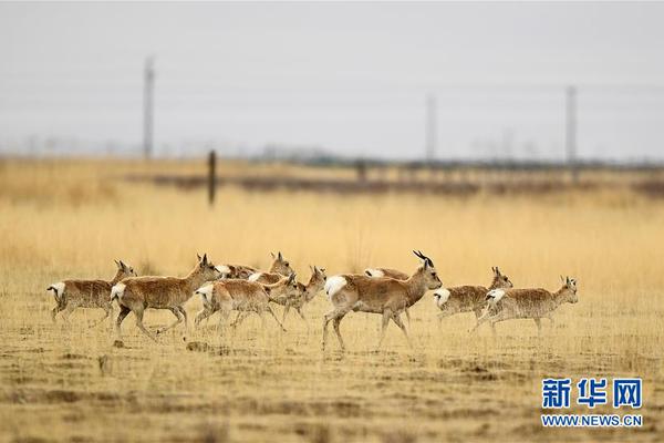 鲍威<尔>：.AI繁荣不同于互联网泡沫，提振经济增长