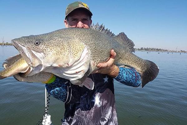 AI日—报‘丨’英伟达携手诺基亚打造为AI服务的全球网络，阿里千问引爆下载热潮