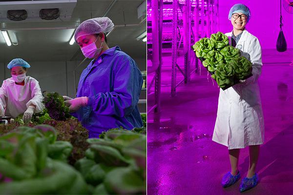 定增减持迷局|北陆药业3亿元定增背后：实控人等股东高位减持