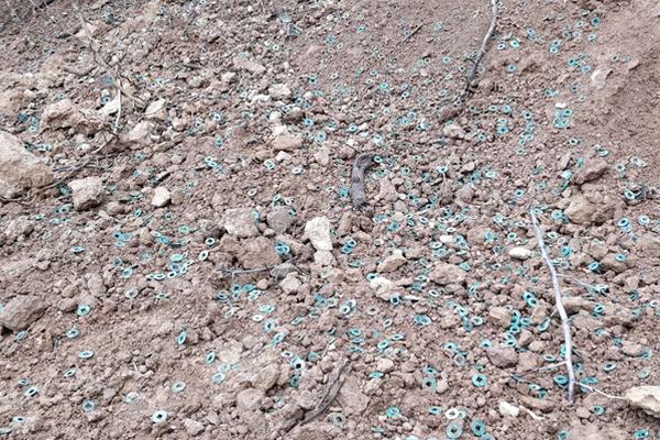 黄金将继:续闪;耀！高盛：全球央行仍在“爆买” 明年有望冲击4900美元