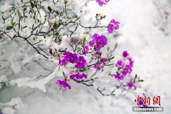 南方精:工部分?股民调解 索赔时效只剩七个月