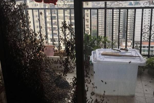 王志恒?在上海出席第三届矿产资源供应链可持续生态开发者大会