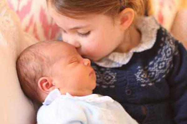 电!力设备‘行’业9月29日资金流向日报