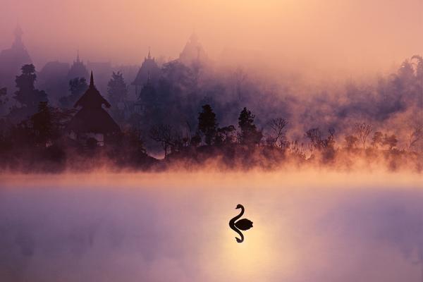 浪潮!信息：公司暂未实施股份回购