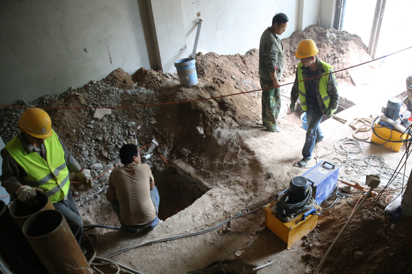 双林股份：申请H股上市{ }并刊登相关资料