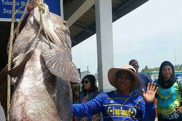 中国交.通建设(01800.HK)控股股东合共增持公司H股1740万股