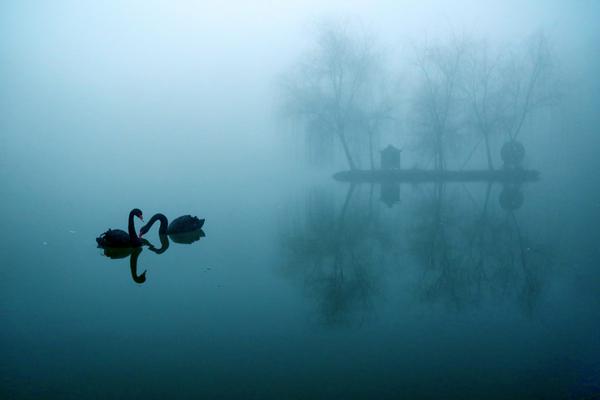 助剂龙头.跨界算力，日科化学：对专注主业说不！