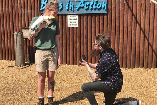 期货博—弈的智能引擎：为什么专业选择都指向新浪财经APP？