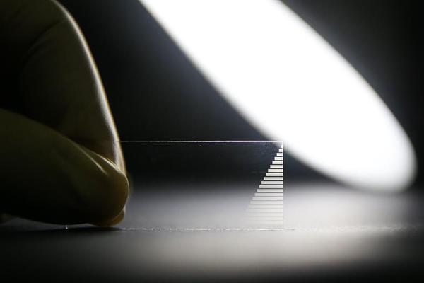 百?联股份：公司持续拓展供应链建设