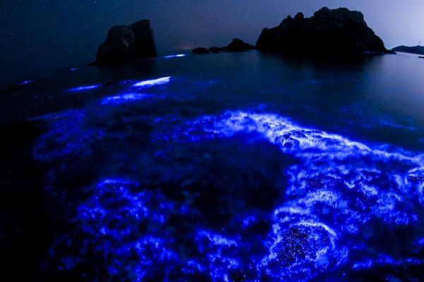 德州仪器第?四季—度业绩展望不及预期 暗示半导体行业复苏缓慢