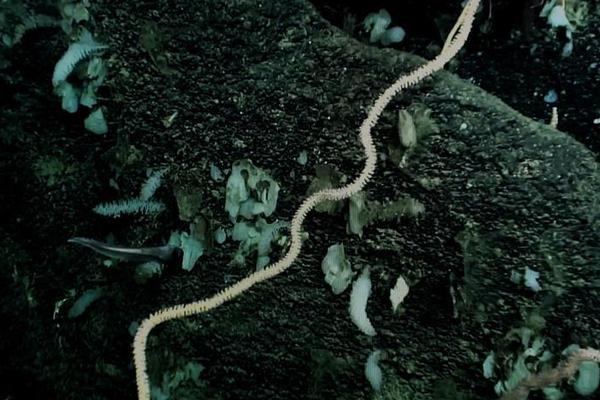 告别崔春‘时’代！华泰资管十年掌舵者离任 江晓阳代任董事长面非货业务待突破考验