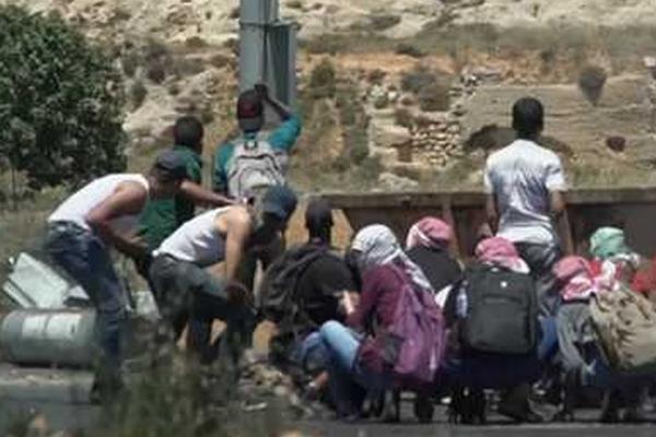 A!I:赋能：凯莱英五大场景实践，从自动化审核到智能CSV