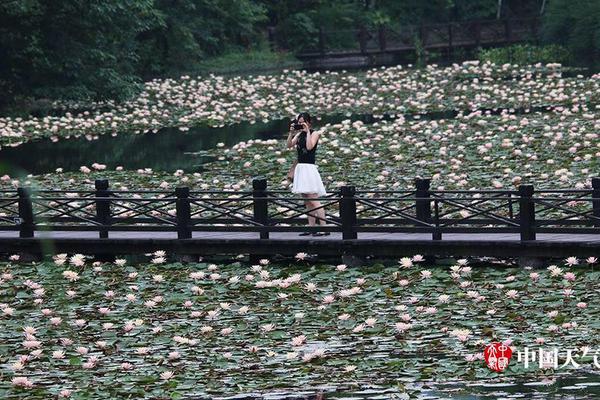 大‘和’：降申洲国际目标价至80港元 重申“买入”评级