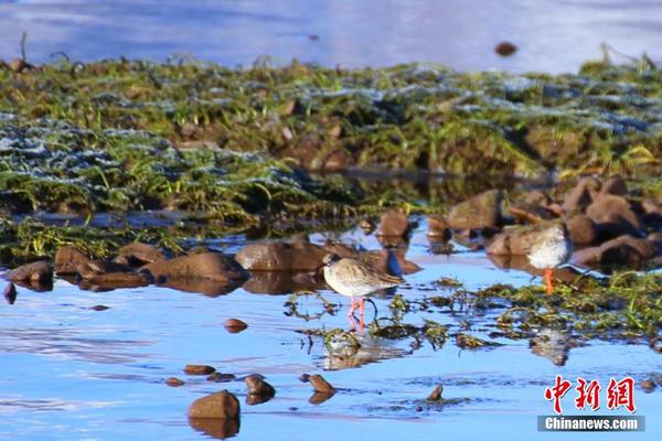 “‘基’金经理KTV被抓”后续更大的瓜？