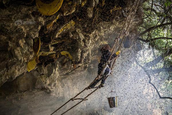 润达<医>疗（6?03108）2025年中报简析：净利润同比下降232.14%