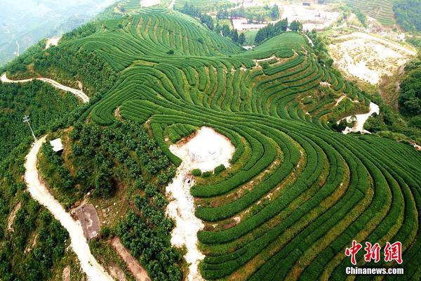 明起.复!牌！300620，拟重大资产重组！