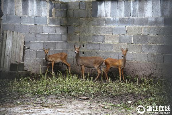 深沪北百元股数量达.150只，电子行业占比最高