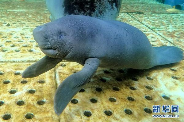 拼多多称未来利,润波动仍将较大