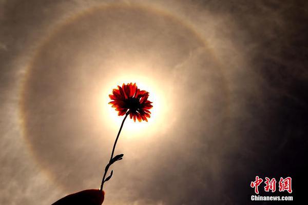 珍酒李;渡,午前涨近4% 预期中期股东应占净利润下降23%至24%