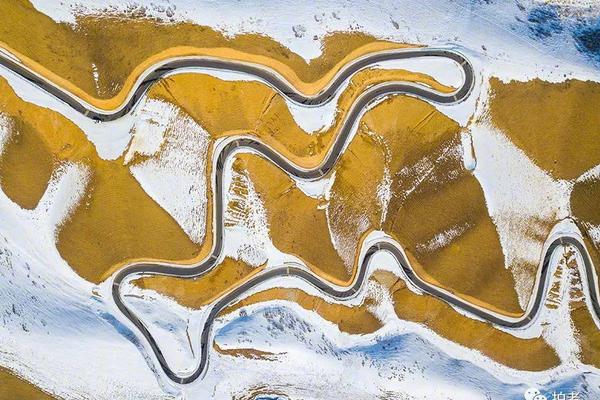 东方海洋第三?季度亏损同比扩大至3439万元，营收同比下降2.7%