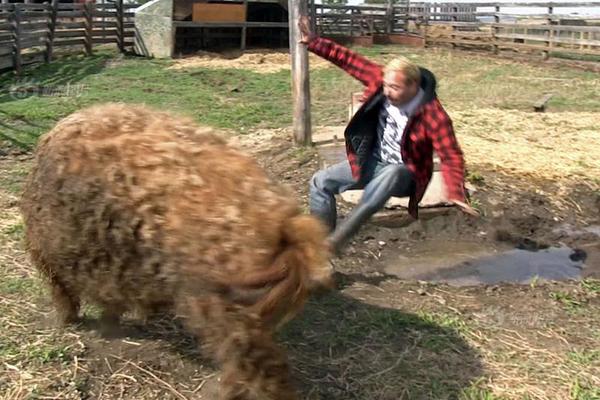 极:氪合并余波：关海涛重归荣耀