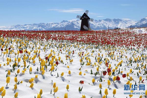 港!股,建材水泥股拉升 华新水泥涨超3% 珠三角水泥价格开始推涨