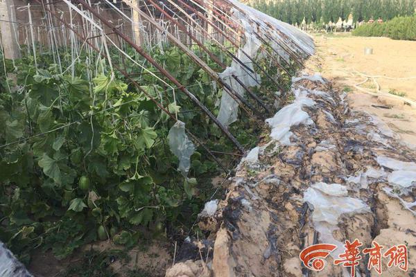 虚;拟数字人正在产业深处萌生真实价值