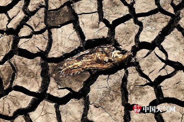 大尺寸蓝宝石晶圆技术进展及其半导体领域的应用趋势