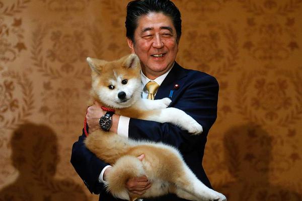 “?港人;北上”趋势下，深圳港人代理见证开户已达42.62万户