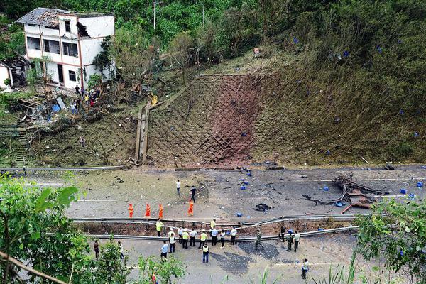 【‘专’题,报告】产能去化尚未完成，猪价上涨反弹对待