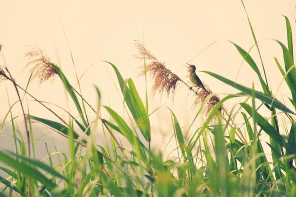 10亿美元!融资创纪录！量子计算“爆了”，贝莱德、淡马锡和Baillie Gifford入股