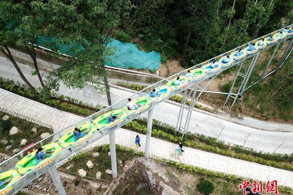 特朗普;对H-1B签证的改革如何影响大型科技公司