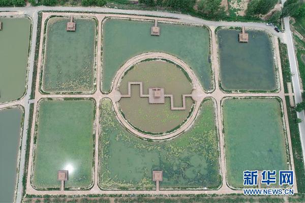 里昂：降金山软件目标价至35.5港元 料游戏业务持续承压