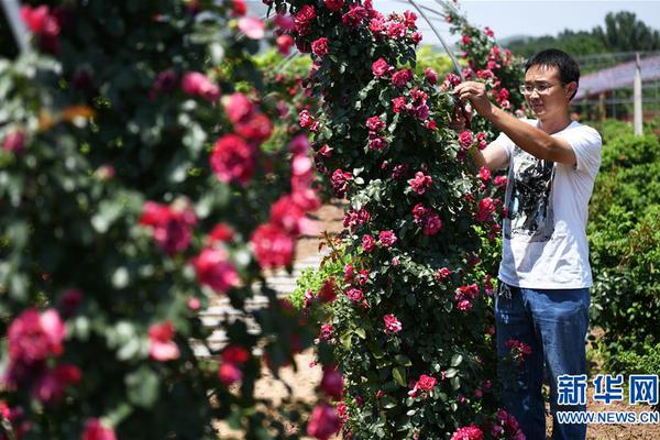 注意！这些大!牛‘股’自发预警